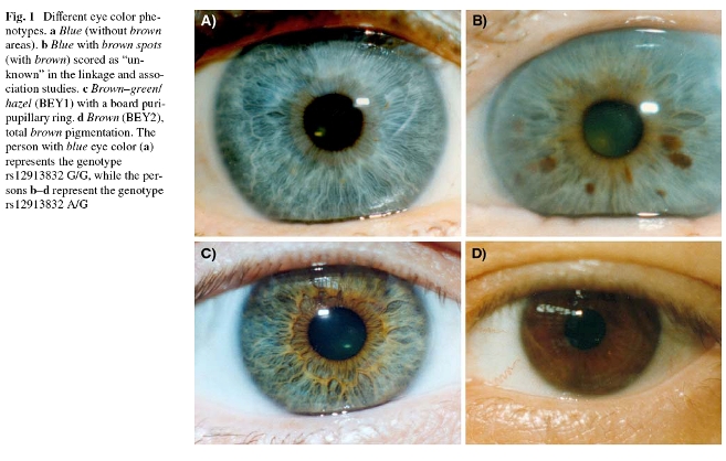 eye color mutations