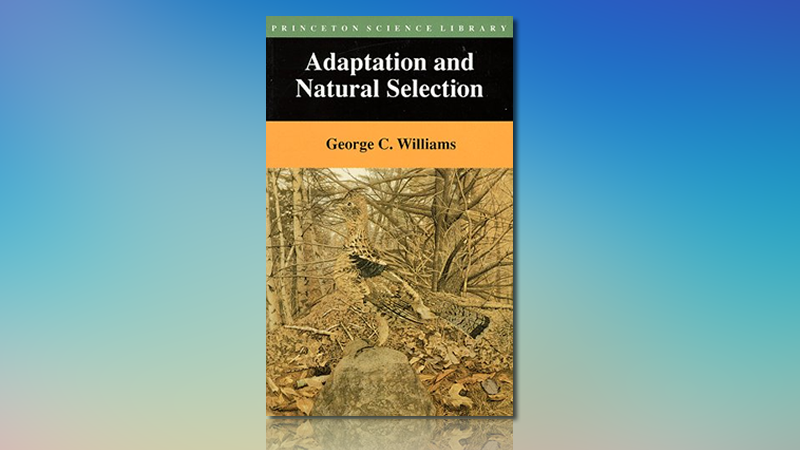 How “Adaptation And Natural Selection” Changed Two Lives – The ...