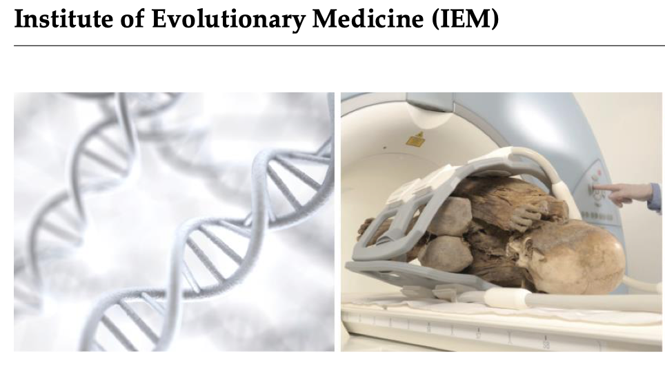 Sex Differences In Immunity – The Evolution And Medicine Review